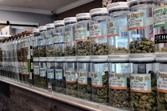 This Friday, Nov. 3, 2017 photo shows jars of medical marijuana on display on the counter of Western Caregivers Medical marijuana dispensary in Los Angeles. Consumers eager for the coming of California's legal recreational marijuana market should be ready for sticker shock. An array of new taxes and fees will be attached to pot sales, driving up prices.