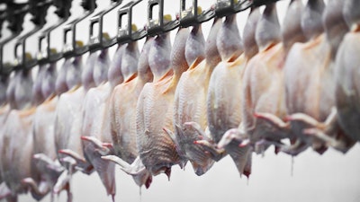 Poultry Processing