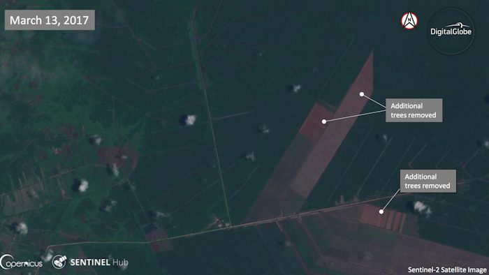 This combination of satellite images (click to view in gallery) taken on July 7, 2015, June 29, 2016, and March 13, 2017 provided by DigitalGlobe shows the progress of deforestation that show further exploitation will occur on land managed by by PT Muara Sungai Landak, a company with links to Indonesian conglomerate Sinarmas, near Jungkat, West Kalimantan, Indonesia. Despite its denials, Sinarmas, one of the world's biggest paper producers, has extensive behind-the-scenes ties and significant influence over wood suppliers linked to fires and deforestation that have degraded Indonesia's stunning natural environment.