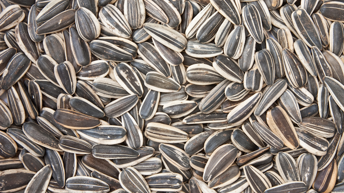 Sunflower Seeds