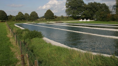 Pools at an algae farm in Borculo, east Netherlands.