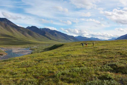 Gates of the Arctic National Park, Alaska. Plants on the Arctic tundra absorb mercury from the air, then transfer it to soil when they die.
