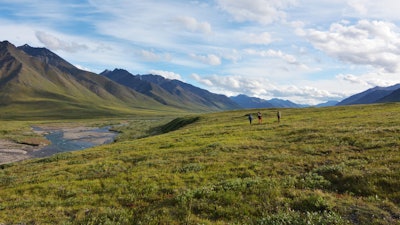 Gates of the Arctic National Park, Alaska. Plants on the Arctic tundra absorb mercury from the air, then transfer it to soil when they die.