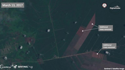 This combination of satellite images (click to view in gallery) taken on July 7, 2015, June 29, 2016, and March 13, 2017 provided by DigitalGlobe shows the progress of deforestation that show further exploitation will occur on land managed by by PT Muara Sungai Landak, a company with links to Indonesian conglomerate Sinarmas, near Jungkat, West Kalimantan, Indonesia. Despite its denials, Sinarmas, one of the world's biggest paper producers, has extensive behind-the-scenes ties and significant influence over wood suppliers linked to fires and deforestation that have degraded Indonesia's stunning natural environment.