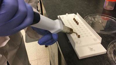 Filling the gelatin capsule with fecal bacteria to create a fecal transplant oral capsule.