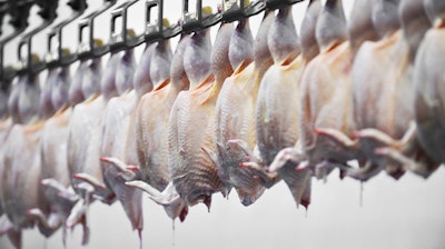 Poultry Processing