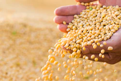 Soybeans