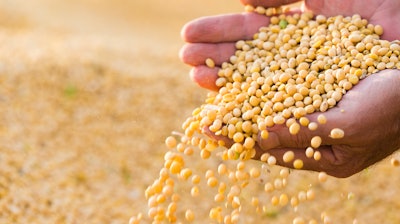 Soybeans