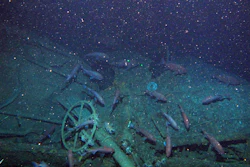 In this undated image provided by the Australian Department of Defense fish swim around the helm of the Australian submarine HMAS AE1 off the coast of the Papua New Guinea island of New Britain. One of Australia's oldest naval mysteries has been solved after the discovery of the wreck of the country's first submarine more than 103 years after its disappearance in World War I.