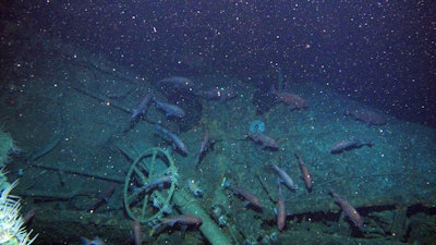 In this undated image provided by the Australian Department of Defense fish swim around the helm of the Australian submarine HMAS AE1 off the coast of the Papua New Guinea island of New Britain. One of Australia's oldest naval mysteries has been solved after the discovery of the wreck of the country's first submarine more than 103 years after its disappearance in World War I.
