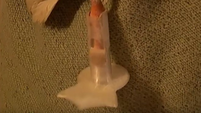 Students used a 3D printer to create a prosthetic leg for a duck.