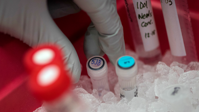 Biologist Rebecca Gillespie places a vial of flu-fighting antibodies in ice at the Vaccine Research Center at the National Institutes of Health, Tuesday, Dec. 19, 2017, in Bethesda, Md. Scientists now think people respond differently to vaccination based on their flu history.
