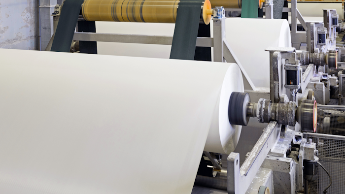 Paper Plant