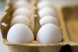 Tainted Eggs Ap