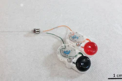 This undated image provided by researcher Canan Dagdeviren in January 2018 shows an implant that can precisely drip medications deep into the brain by remote control. The device could mark a new approach to treating brain diseases _ potentially reducing side effects by targeting only the hard-to-reach specific sections that need care.