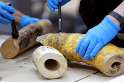 Forensic officers inspect ivory seized at the customs office after a press conference in Bangkok, Thailand, Friday, Jan. 12, 2018. Thai authorities have seized 148 kilograms (326 pounds) of African elephant ivory, including three large tusks, worth around 15 million baht ($469,800) from a Bangkok airport.