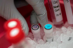 Biologist Rebecca Gillespie places a vial of flu-fighting antibodies in ice at the Vaccine Research Center at the National Institutes of Health, Tuesday, Dec. 19, 2017, in Bethesda, Md. Scientists now think people respond differently to vaccination based on their flu history.