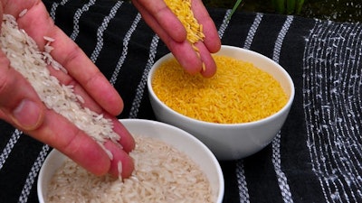 Golden rice has beta-carotene biosynthesis genes added to its DNA.