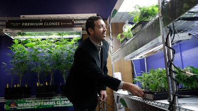 In this Dec. 29, 2017, photo, Khalil Moutawakkil, co-founder and CEO of KindPeoples, a marijuana dispensary, looks at different marijuana plants on display in his store in Santa Cruz, Calif. Californians may awake on New Year's Day to a stronger-than-normal whiff of marijuana as America's cannabis king lights up to celebrate the state's first legal retail pot sales.