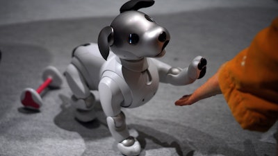 In this Jan. 11, 2018, photo, a guest plays with Sony Corp.'s new Aibo robot dog at its showroom in Tokyo. The Japanese maker of the PlayStation video game consoles pulled the plug on Aibo 12 years ago, drawing an outcry from global fans. The improved Aibo has more natural looking eyes, thanks to advanced OLED, or organic light-emitting diodes. It can cock its head and sway its hips at more varied, subtle angles. The relatively affordable home robot targets the elderly, kids and hard-working salarymen pressed for time. Unlike real children or pets, they have off switches and don’t need constant attention, dog food or cat litter.