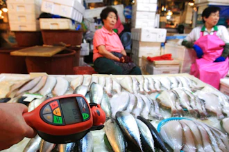 In this Sept. 6, 2013, file photo, a worker using a Geiger counter checks for possible radioactive contamination at Noryangjin Fisheries Wholesale Market in Seoul, South Korea. South Korea said Friday, Feb. 23, 2018, it will appeal the World Trade Organization's decision against Seoul's import bans on Japanese fishery products imposed in the wake of Fukushima nuclear meltdowns.