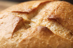 Fresh Crispy Wheat Bun 862641864 5472x3648