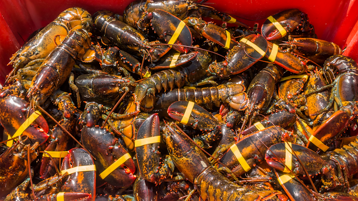 Lobsters