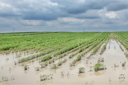 Flooded Field