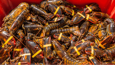 Lobsters