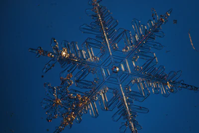 In this circa 2009 photo provided by Marco Tedesco of Columbia University's Lamont-Doherty Earth Observatory, a snowflake is magnified though a microscope. Researchers from the Observatory are visiting snowy stretches of the Catskills this winter to study details about how snowflakes fall and how they evolve once they settle on the ground.