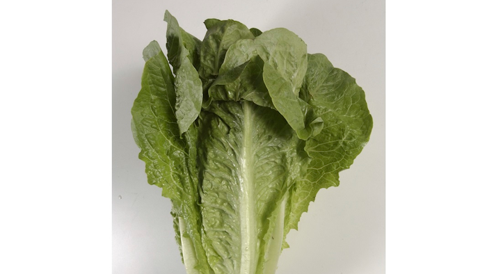 Romaine