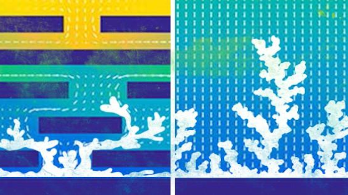 Through simulations and experiments, the research team showed that a porous membrane stifled the formation of dendrites in lithium metal batteries.