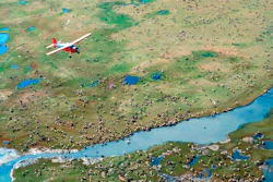 An airplane flies over caribou from the Porcupine Caribou Herd on the coastal plain of the Arctic National Wildlife Refuge in northeast Alaska.