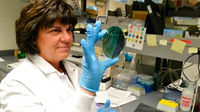 In this April 12, 2018 photo, scientist Karen Xavier holds a petri dish containing a stool sample of small bacteria colonies in Denver. DNA from samples like these are extracted and sequenced to help health investigators more quickly determine the source of a food borne illness outbreak.