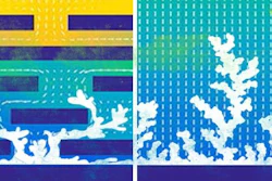 Through simulations and experiments, the research team showed that a porous membrane stifled the formation of dendrites in lithium metal batteries.