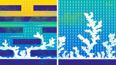 Through simulations and experiments, the research team showed that a porous membrane stifled the formation of dendrites in lithium metal batteries.