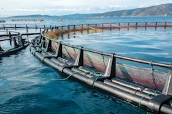 Fish Farm 628525694 3264x2448