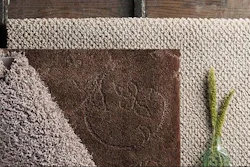 Mohawk Carpet