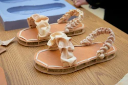 Two University of Delaware students have fashioned a biodegradable shoe using mushrooms, chicken feathers and textile waste. The prototype shoe consists of a mycelium-based sole, covered with vegan 'leather,' and an all-natural cotton fabric top.