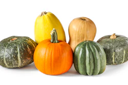 Pumpkins And Squash