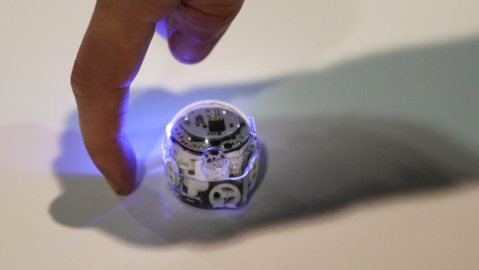 In this Jan. 10, 2018, file photo, the Ozobot Evo, which has sensors to interact with its environment, is demonstrated at CES International in Las Vegas.