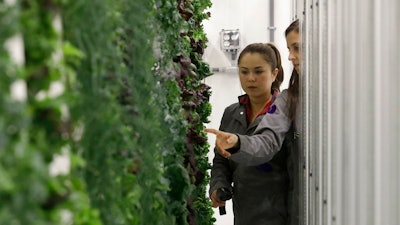 In this Jan. 18, 2018 photo, production manager Emy Kelty, left, and senior grower Molly Kreykes scan and monitor plants growing on towers in the grow room at the Plenty, Inc. office in South San Francisco, Calif. More than 30 high-tech companies from the U.S. to Singapore hoping to turn indoor farming into a major future food source, if only they can clear a stubborn hurdle: high costs.