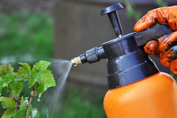 Fertilizer
