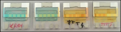Each of these research samples is a small organic solar panel made from different molecules, with varying degrees of transparency to visible light.