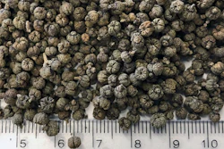 Medicinal plants are an essential part of Traditional Chinese Medicine. However, these plants have rarely been scientifically examined. They may contain highly active substances with side effects, such as Evodia.