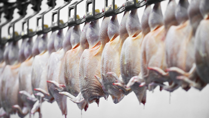 Poultry Processing