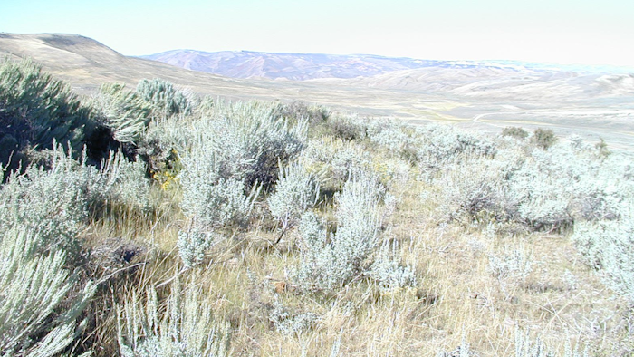 Wyoming