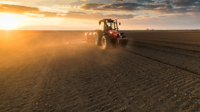 Farmer Planting Crops In Spring