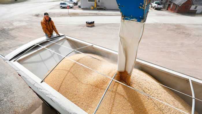 In this April 5, 2018, file photo Terry Morrison of Earlham, Iowa, watches as soybeans are loaded into his trailer at the Heartland Co-op,, in Redfield, Iowa. If the U.S. starts taxing Chinese imports Friday, July 6, 2018, Beijing plans to impose 25 percent tariffs on 545 U.S. products worth $34 billion a year, from soybeans and lobsters to sport-utility vehicles and whiskey.
