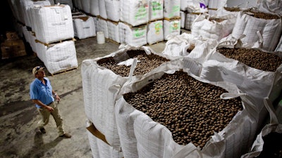 In this June 21, 2018, photo, Buck Paulk walks through his warehouse storing pecans at Shiloh Pecan Farms in Ray City, Ga. Paulk estimates that over 50 percent of his pecans are exported out of the country, China being one of the main recipients. Georgia is the nation's leading producer of pecans.